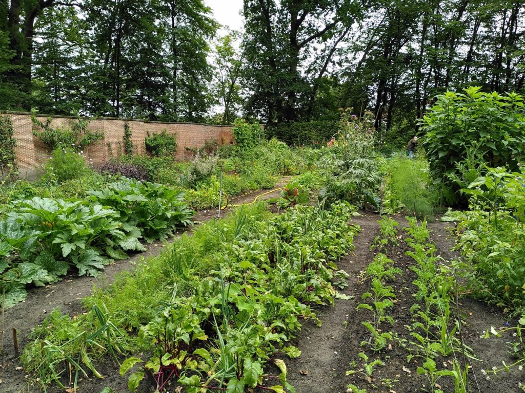 Berbice (Voorschoten): historische moestuin (foto: Hennes Claassens)